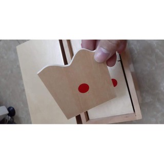 Số và chấm (giáo cụ montessori)