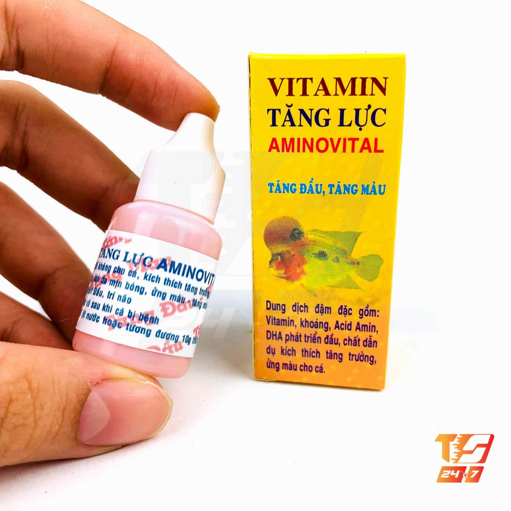 Vitamin Tăng Lực AminoVital - Tăng Đầu, Tăng Màu Cho Cá La Hán, Cá Rồng, Cá Dĩa
