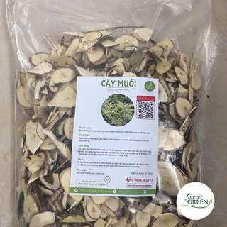Cây muối [1kg] - Cực tốt cho người bệnh thận - FG188