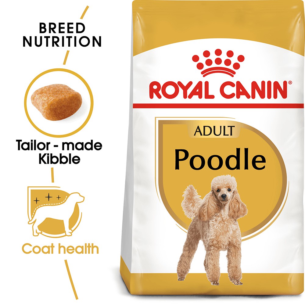 1.5kg - Hạt Poodle Adult Royal Canin dành cho giống chó nhỏ Poodle trưởng thành trên 12 tháng tuổi