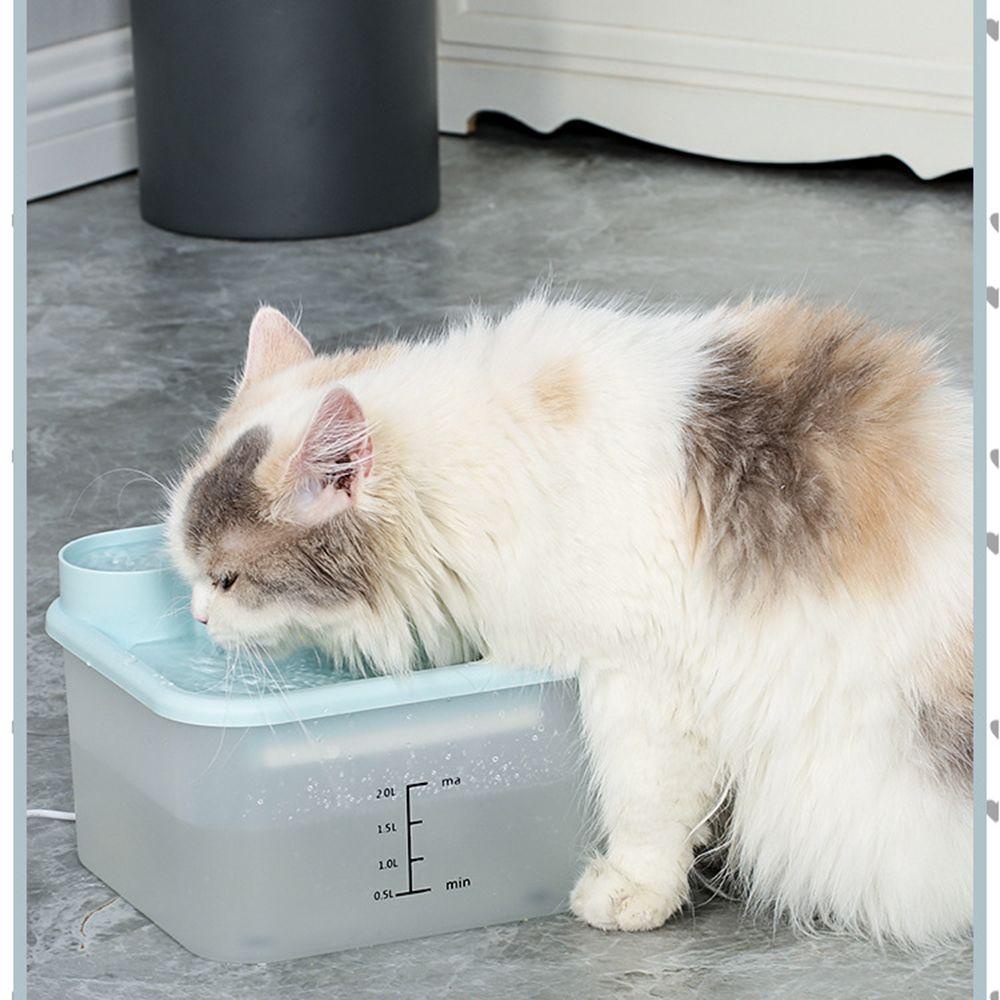 Bình Uống Nước Thông Minh Cho Thú Cưng