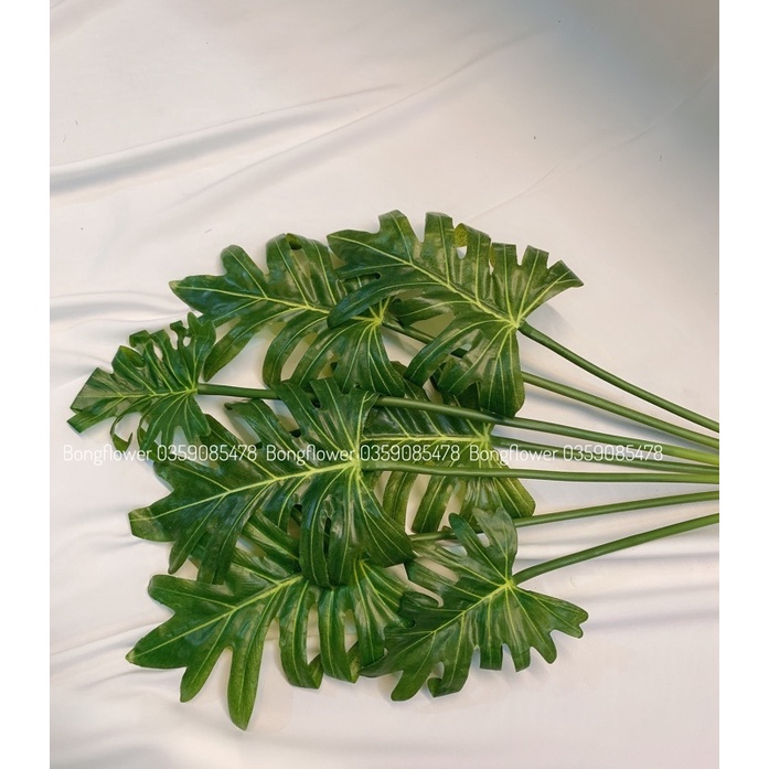 Cây giả - cây lá trầu bà thanh xuân 7 lá cao 70cm