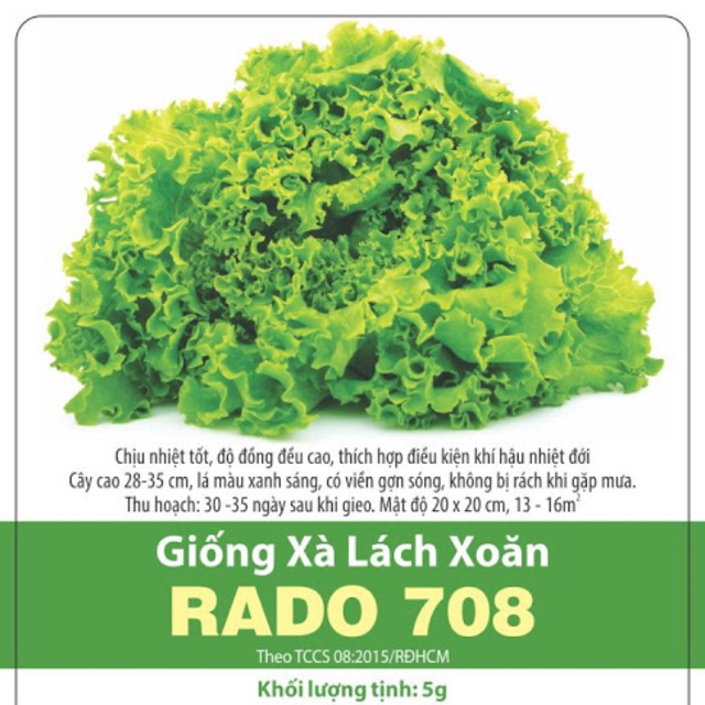 Hạt giống Xà lách xoăn RD708 (5gr)