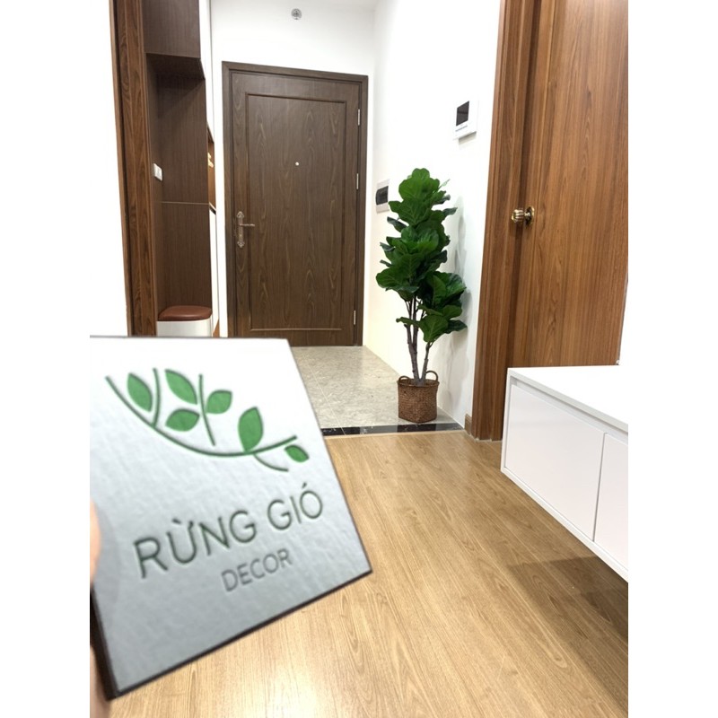 Cây bàng Singapore - Cây giả Decor trang trí - nhiều size to nhỏ lựa chọn
