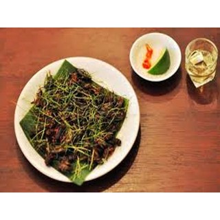 Ổ Trứng Dế Thái