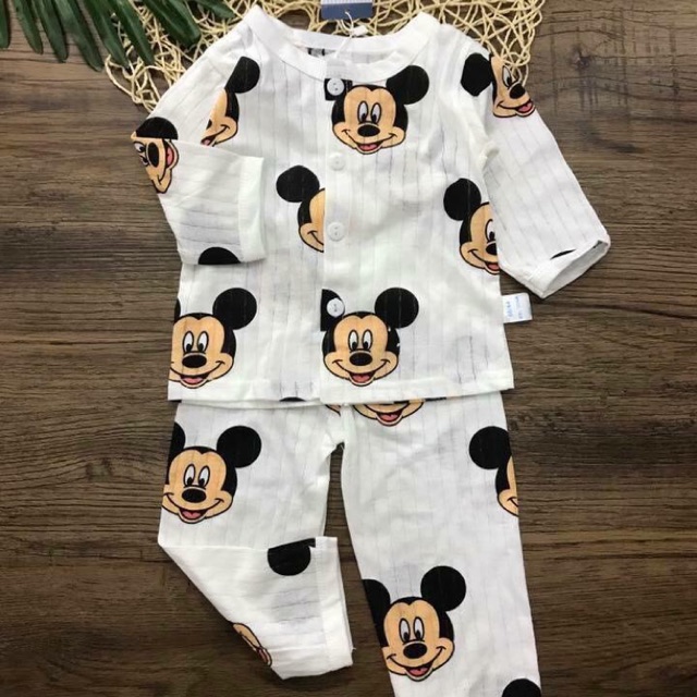 Combo bộ cotton giấy