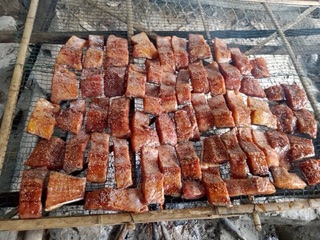Cá sấy sông đà