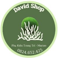 lọ_marimo_phu_kien