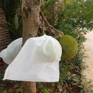 Combo 50 túi bọc mít 50*70