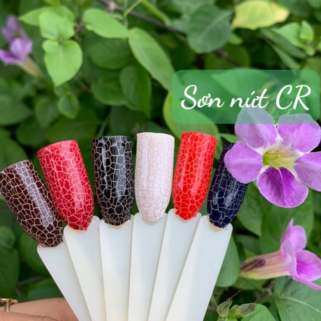 Sơn gel " nứt " AS mã CR ( chai đen )