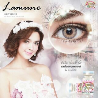 Lens xám tây - Lens gray