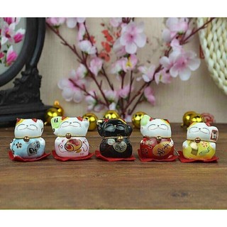 Set 5 mèo thần tài phát tài phát lộc