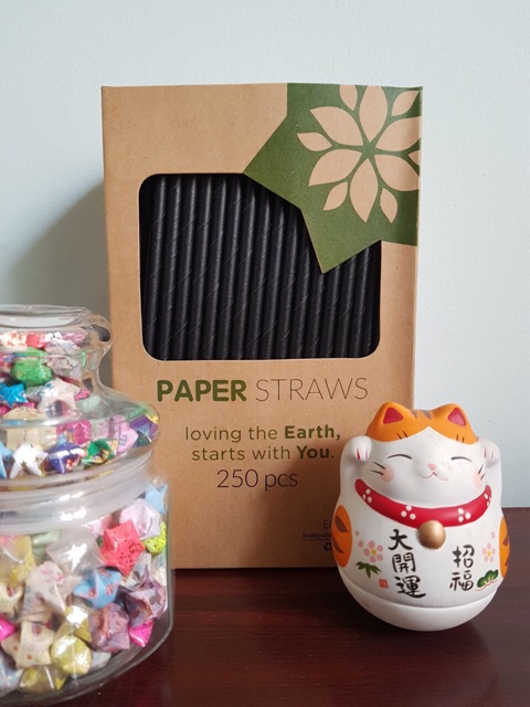 Hộp ống hút giấy Biogreen thân thiện môi trường | BigBuy360 - bigbuy360.vn