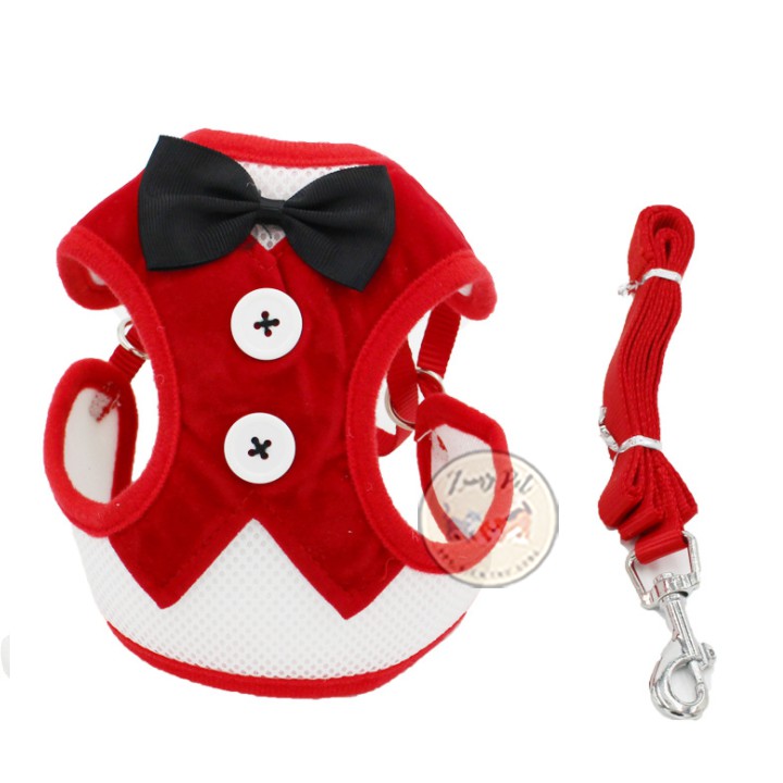 [Mã PET50K giảm Giảm 10% - Tối đa 50K đơn từ 250K] Đai/dây dắt chó mèo đi dạo kèm áo yếm có nơ dễ thương, tiện dụng
