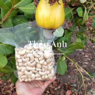 Hạt điều tươi Bình Phước 500gr