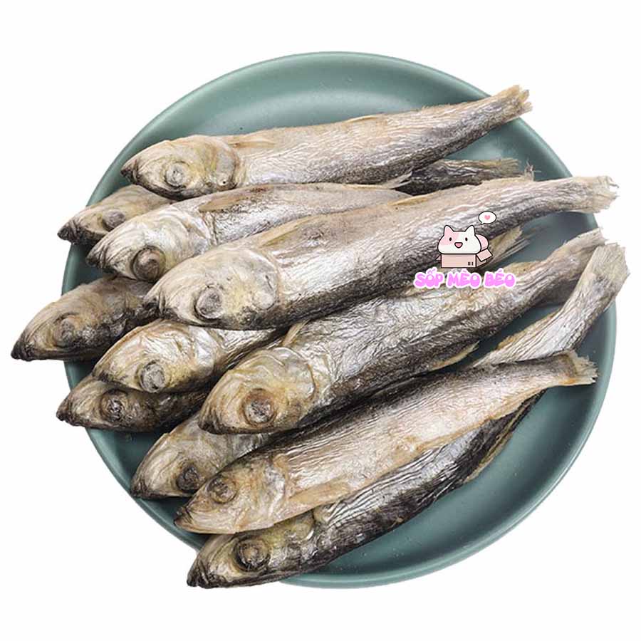 Combo 5 con Cá trứng tẩm bơ sấy giòn rụm thơm ngon Mèo yêu thích cho bữa ăn nhẹ thêm dinh dưỡng
