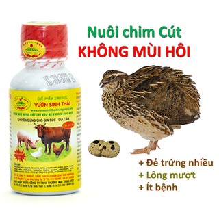 Chế phẩm sinh học VƯỜN SINH THÁI nuôi chim CÚT không mùi hôi, khỏe mạnh, ít bệnh