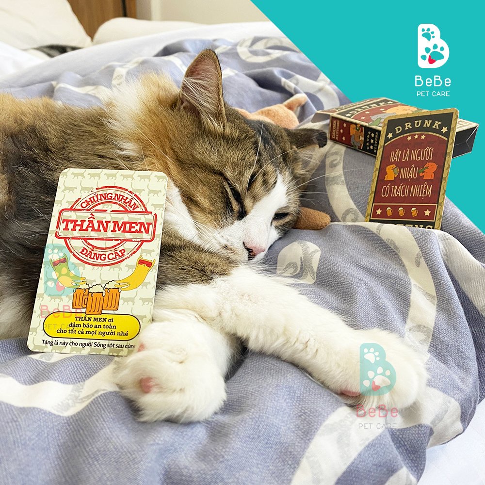 [Góc Lượm Lặt] Lượm Về Những Thứ Dễ Thương Cho Các Con Sen Mê Boss