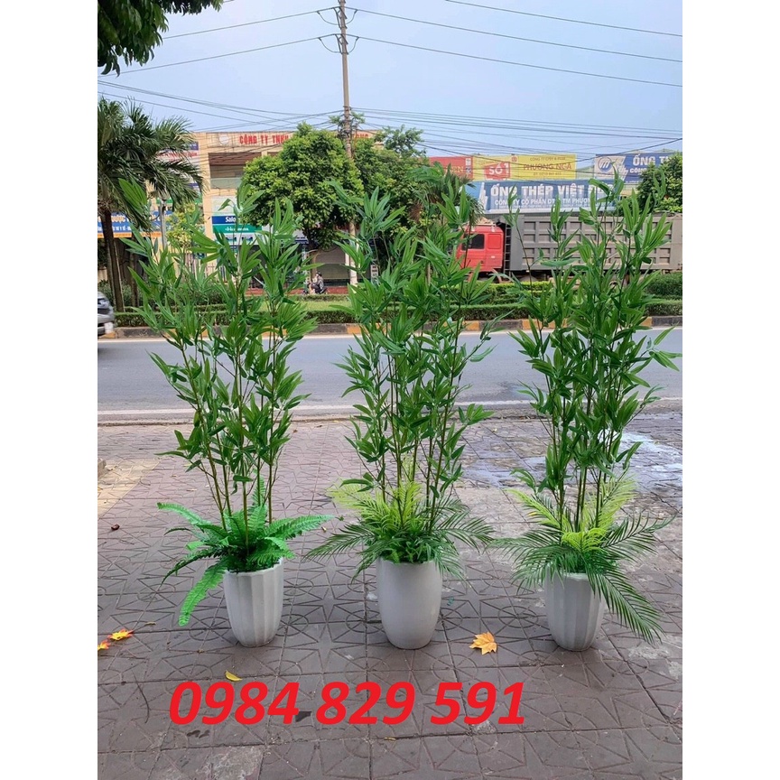 Cây Trúc giả-Cây Trúc Quân Tử 1.5M-2M trang trí nhà cửa,hàng rào (giá 1 cây)