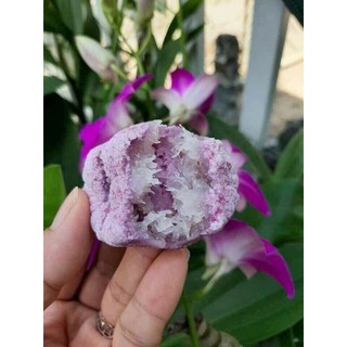 Bánh in nhân dừa non 1kg