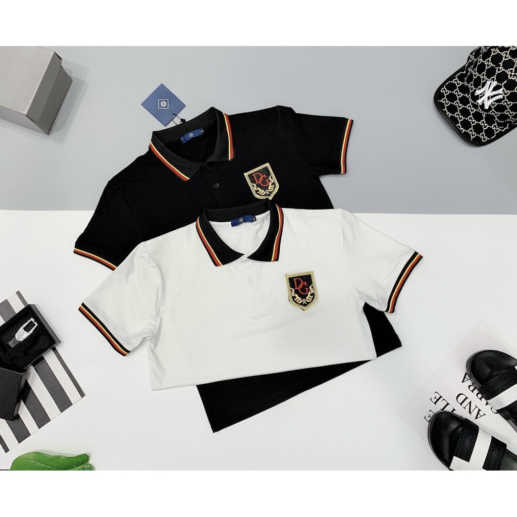 Áo thun nam polo cotton co dãn thêu logo vải đẹp mẫu mới cao cấp AHFASHION | BigBuy360 - bigbuy360.vn
