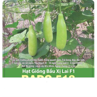 Hạt giống bầu xị lai f1 sai trái 2gr