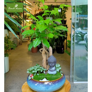 Tượng phật sứ mini decor trang trí