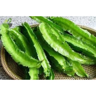 Hạt giống đậu rồng - 10gram