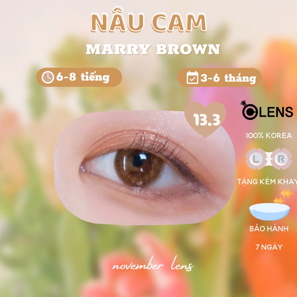 Kính áp tròng màu nâu cam Marry Me Orange Brown hãng Olens Hàn Quốc