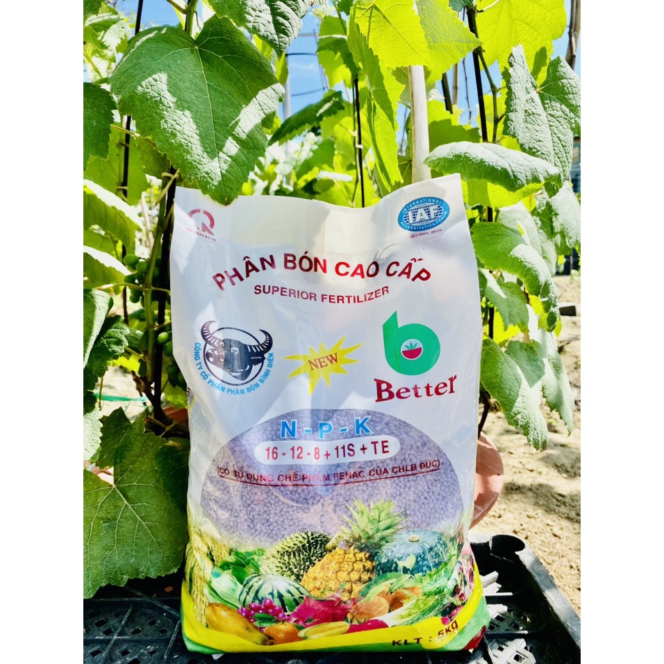 Phân bón NPK đầu trâu tím 16-12-8+11s+TE cao cấp 5kg PB11
