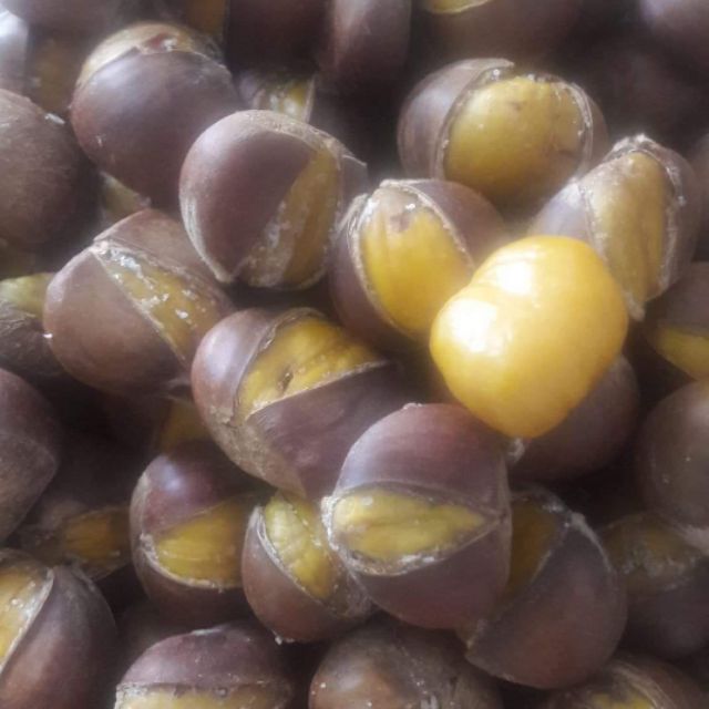 Combo 5kg hạt dẻ tươi Giá sỉ