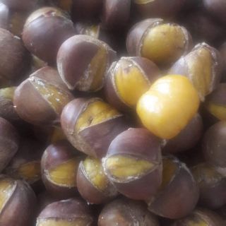 Combo 5kg hạt dẻ tươi Giá sỉ