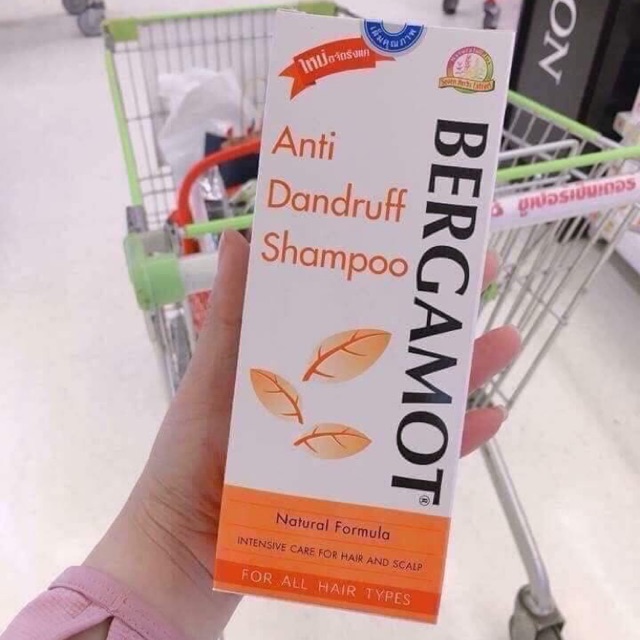 DẦU GỘI TRỊ GẦU BERGAMOT