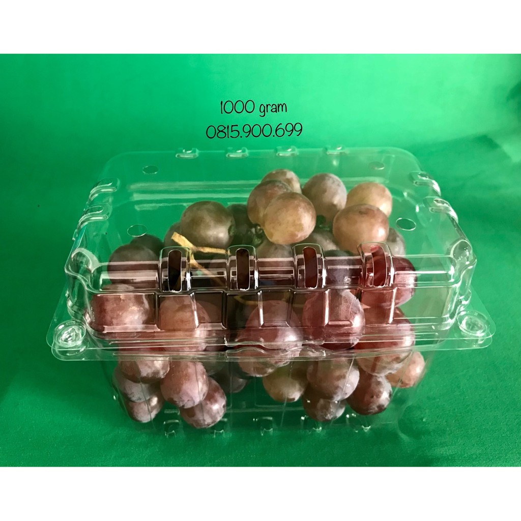 100 BỘ HỘP NHỰA ĐỰNG TRÁI CÂY (1000 gram) | BigBuy360 - bigbuy360.vn