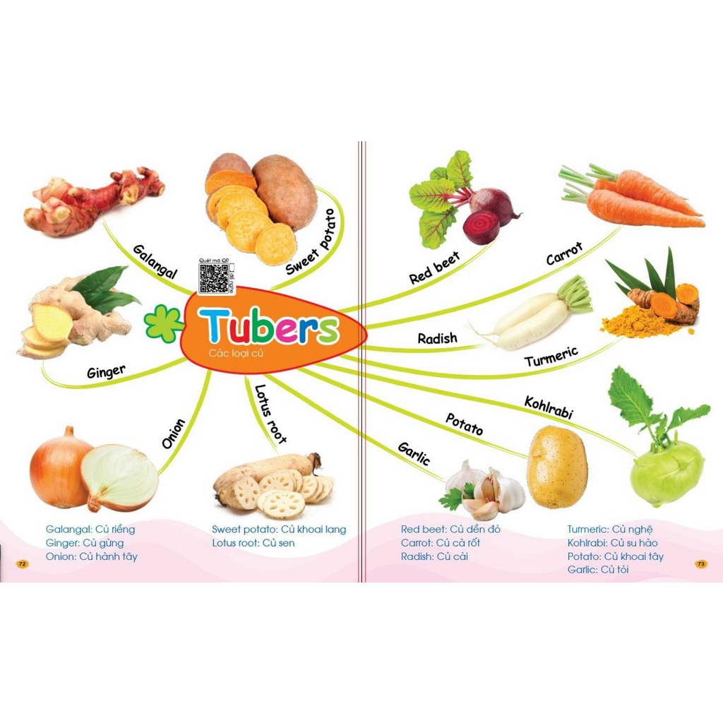 Sách - Chinh Phục Tiếng Anh Từ Vựng - Theo Sơ Đồ Tư Duy Mind Map