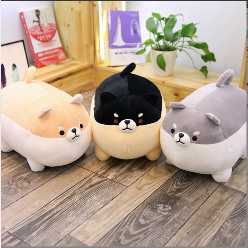 Gấu bông chó Shiba mập ú dễ thương - gấu bông cute