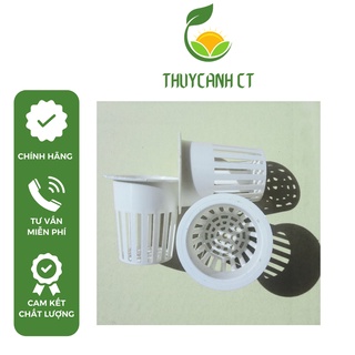 100 Rọ thủy canh trồng rau 65x65x40mm
