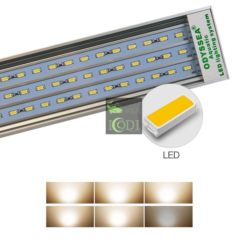 Đèn bể cá cảnh ODYSSEA SLIM X450 - Chihiros A2