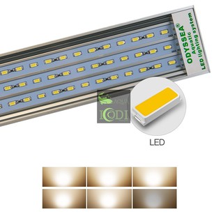 ĐÈN BỂ CÁ ODYSSEA SLIM X600