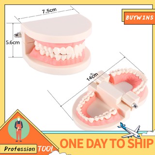 Mô hình hàm răng giả dùng trong giáo dục