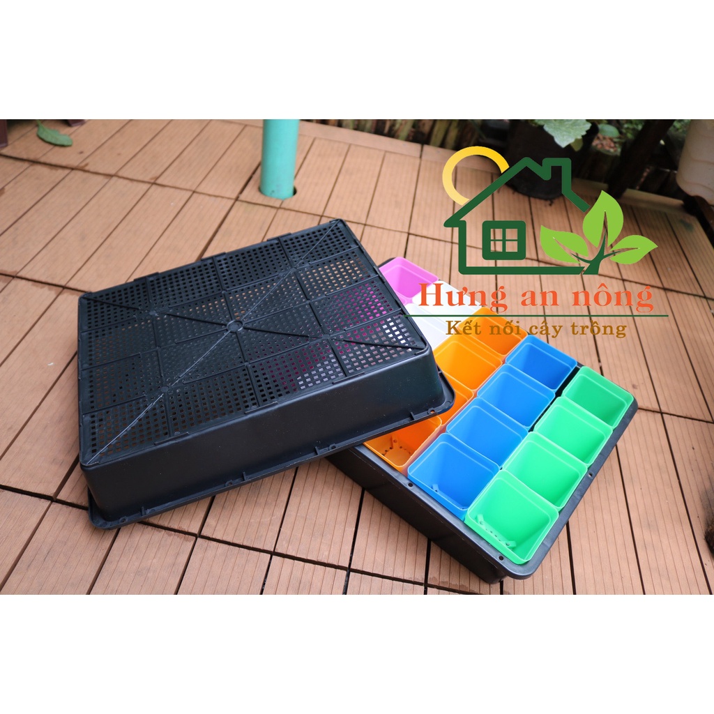 KC36L1 - Sét khay 36cm + 20 chậu vuông màu 7cm tiện trồng sen đá xương rồng