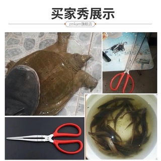 Kìm Kẹp Hỗ Trợ Làm Tóc Chuyên Dụng