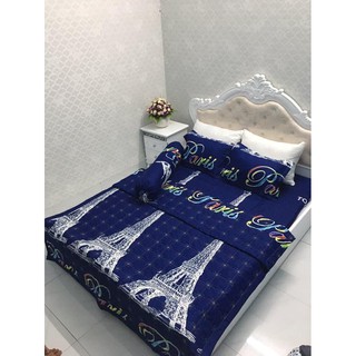 Sét Chăn ga gối hè  cotton poly