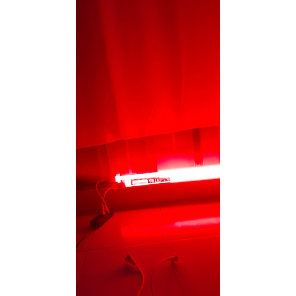 Đèn tuýp màu 6 tấc nối dây 1m