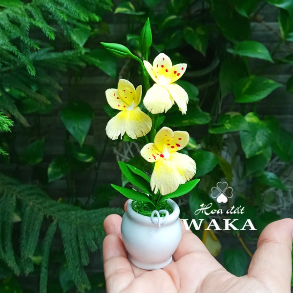 Hoa Đất Sét Mini- Lan Vũ Nữ