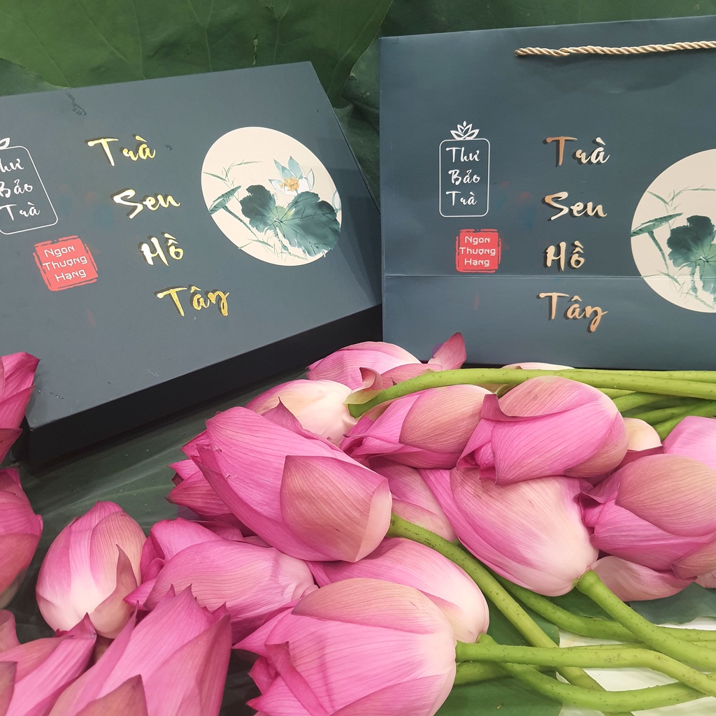 Set hộp quà tặng biếu 10 bông Trà Sen Hồ Tây ướp nguyên bông sang trọng Thư Bảo Trà