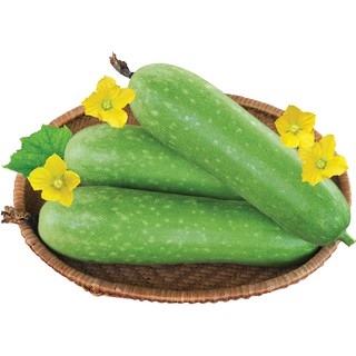 Hạt giống Bí đao chanh Tây Nam Thiên bảo 04 gói 2g