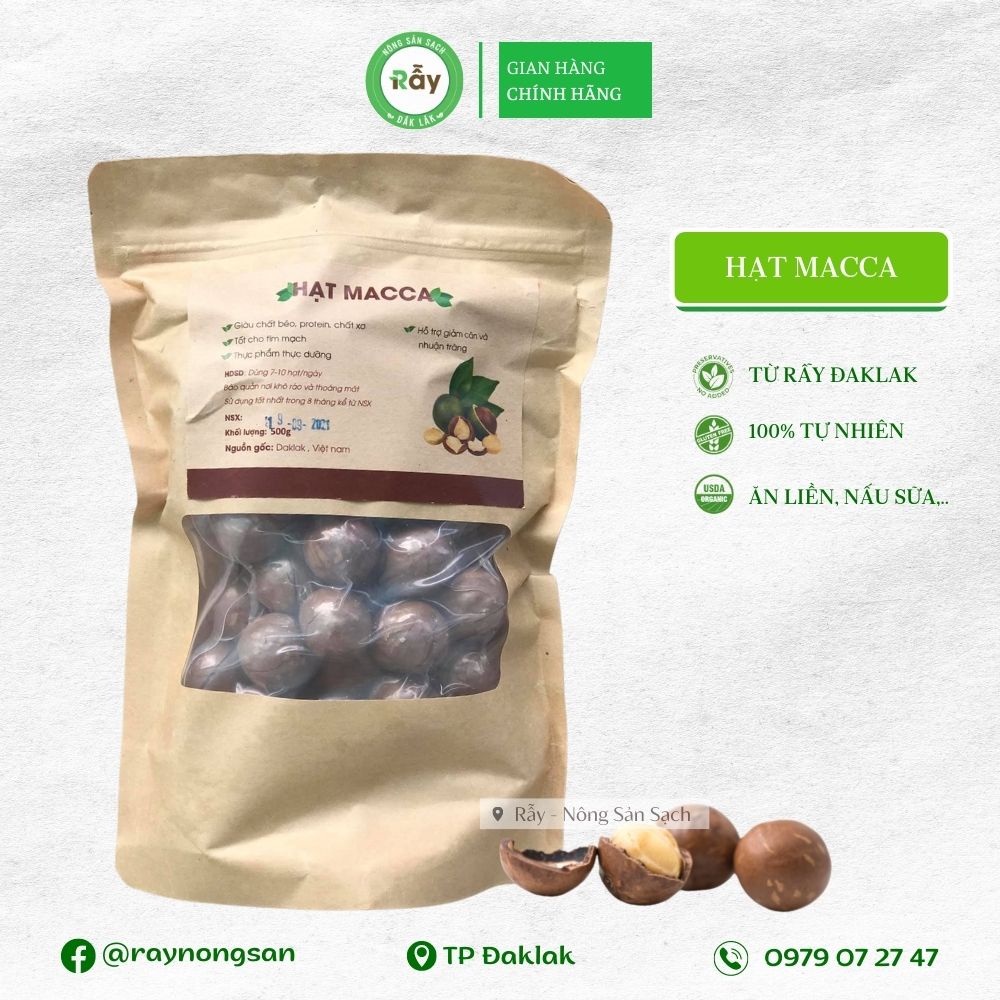 Hạt Macca Rẫy Đaklak nứt vỏ loại 1 to đều như nhãn lồng
