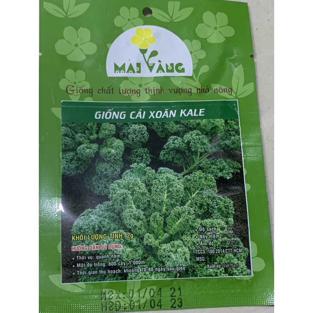 Hạt giống Cải xoăn Kale 2g