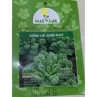 Hạt giống Cải xoăn Kale 2g